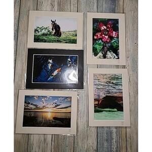 5 Maggie Hanson Photographs 5x7 Of  Horse, Fish, Sunset At The Lake.Flower, Cave